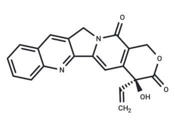 (20S)-18,19-Dehydrocamptothecin