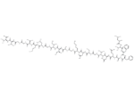 β-Amyloid (17-40)