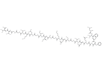 β-Amyloid (17-40)