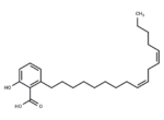 α-Glucosidase-IN-54