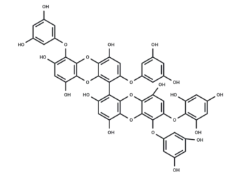2,7"-Phloroglucinol-6,6'-bieckol