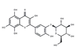 Gossypetin 3′-O-glucoside