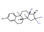 17β-Estradiol-16