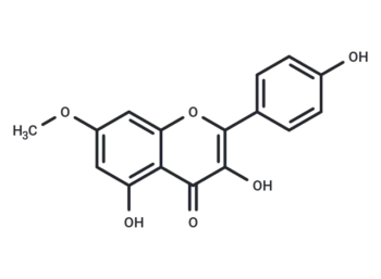 Rhamnocitrin