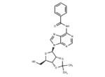 N6-Benzoyl-2′