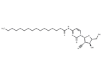 Sapacitabine