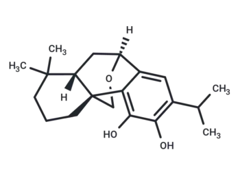 20-Deoxocarnosol
