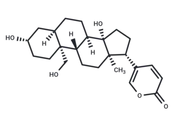 19-Hydroxybufalin