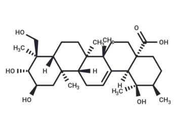 19α-Hydroxyasiatic acid