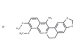 13-Methylberberine chloride