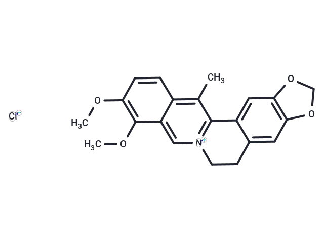 13-Methylberberine chloride