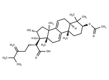 Dehydropachymic acid