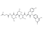 Suc-Leu-Leu-Val-Tyr-AMC