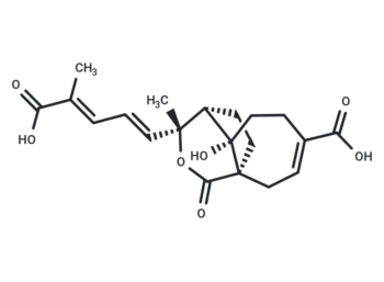 Demethoxydeacetoxypseudolaric acid B