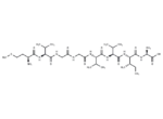 β-Amyloid (35-42)