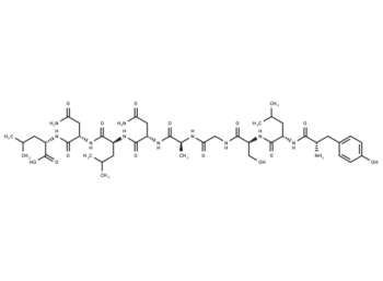 Carcinoembryonic antigen peptide