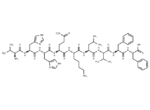 β-Amyloid (12-20)