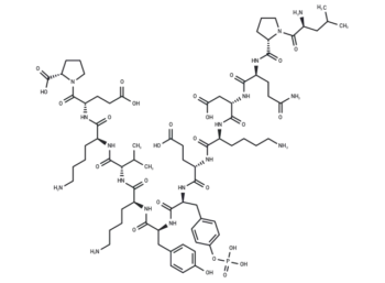 pJAK2(1001–1013)
