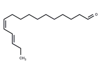 (11Z,13E)-Hexadecadienal