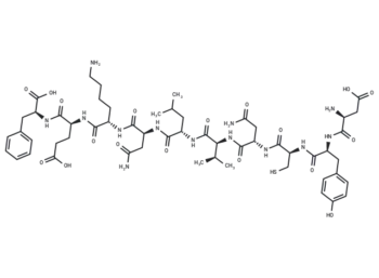 CEF14, EBV Rta Protein (28-37)