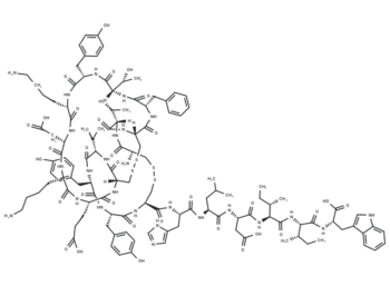 Endothelin-3, human, mouse, rabbit, rat