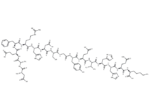 β-Amyloid (1-16)