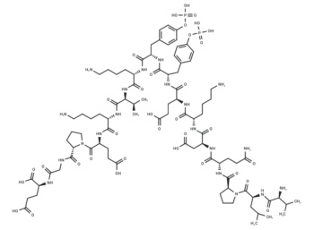 Tyrosine Protein Kinase JAK 2 (Phospho-Tyr8, 9)