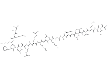 Calmodulin-Dependent Protein Kinase II (290-309)
