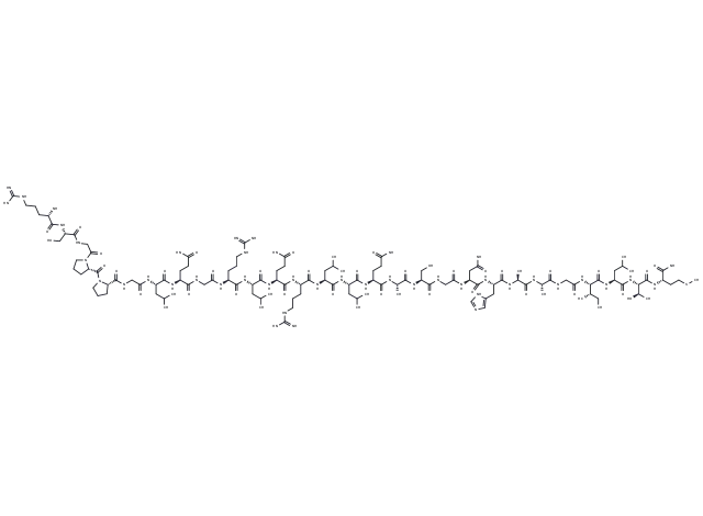 Orexin B