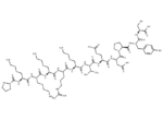 SV40 T-Ag-derived NLS peptide