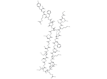 Vasonatrin Peptide (VNP)