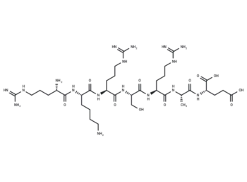 PKG Substrate