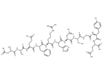 β-Amyloid (1-11)