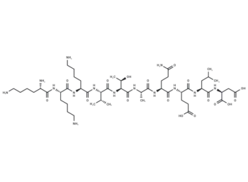 SEB Domain (144-153)