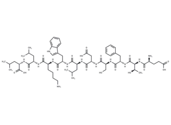 p53 (17-26)