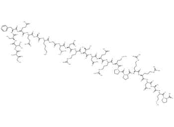 Calcineurin Autoinhibitory Peptide
