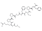 Sar-[D-Phe8]-des-Arg9-Bradykinin