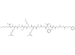[Nphe1]Nociceptin(1-13)NH2