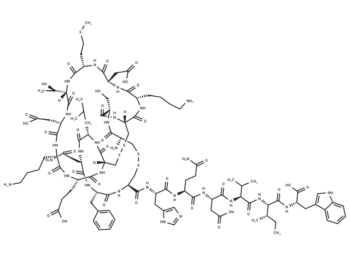 Sarafotoxin S6a