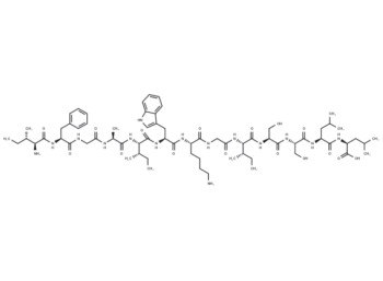 Pantinin-2