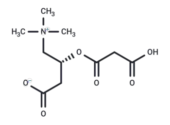 cis-Malonylcarnitine