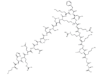 [Ala286]-Calmodulin-Dependent Protein Kinase II (281-302)