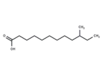 10-Methyl lauric acid 1 10-Methyl lauric acid