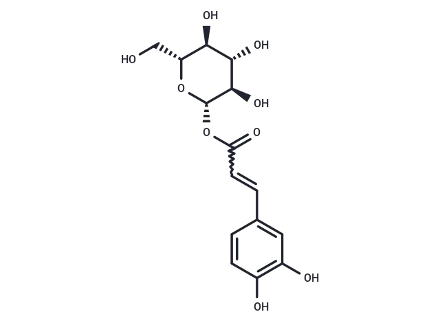 1-O-Caffeoyl-β-D-glucopyranose CgoaEWciWSSESQm2AAAAAJVn1iw642- Immunomart