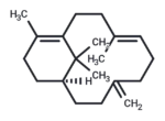 Verticilla-4(20),7,11-triene 1 Verticilla-4(20)