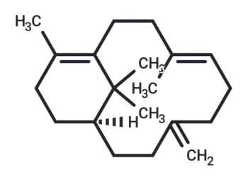 Verticilla-4(20),7,11-triene
