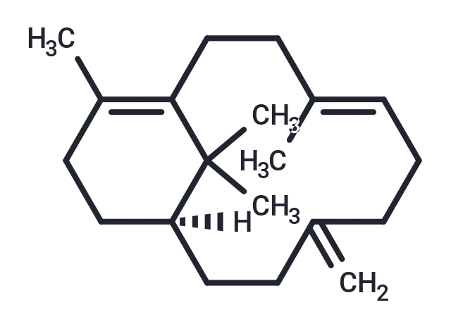 Verticilla-4(20) CgoaEWciWSSEfzR AAAAANmYiXg654- Immunomart