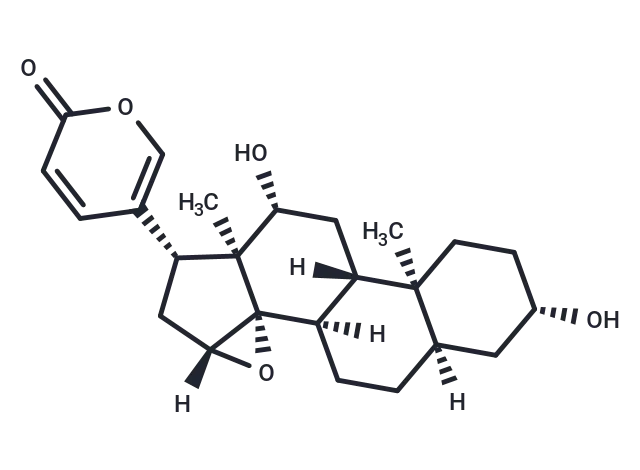 12β-Hydroxyresibufogenin 12β-Hydroxyresibufogenin