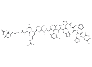 Biotinyl-Angiotensin I