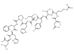 Angiotensin I